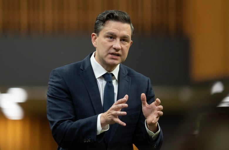 Conservative Leader Pierre Poilievre speaks about an opposition motion in the House of Commons, Tuesday, Sept.24, 2024 in Ottawa.