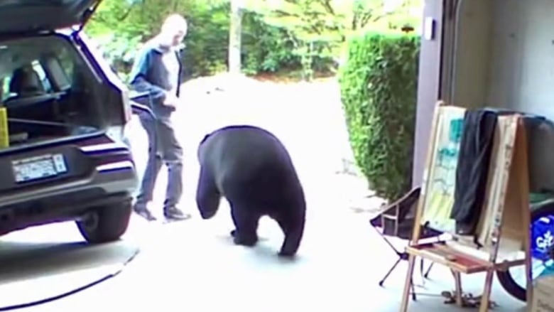 A black bear comes out of a garage and heads straight at a man.