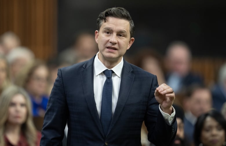 Conservative Leader Pierre Poilievre rises during Question Period, in Ottawa, Tuesday, Sept. 24, 2024.