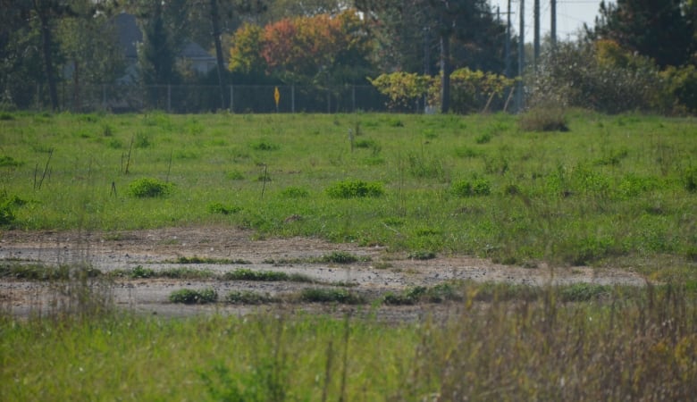 A big empty lot with grass, asphalt and a fence in the back 