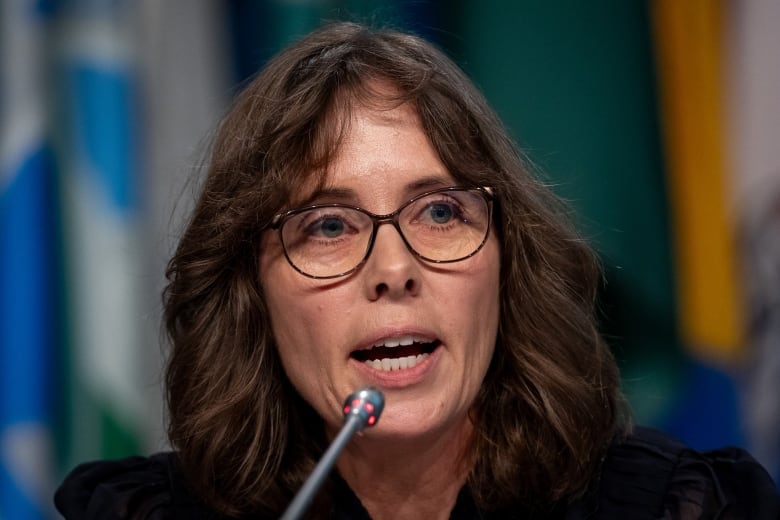 A woman speaks into a mic with various flags behind her.