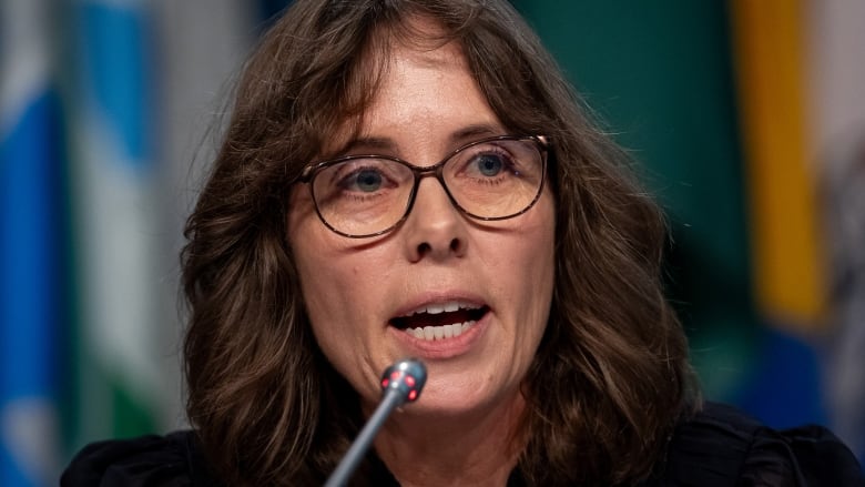 A woman speaks into a mic with various flags behind her.