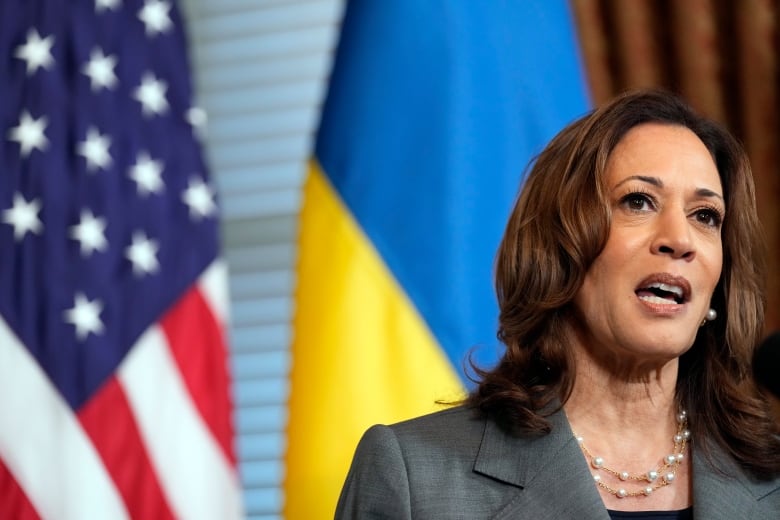 U.S. Vice President Kamala Harris, the Democratic presidential nominee, speaks during a meeting with Ukrainian President Volodymyr Zelenskyy in Washington on Thursday.