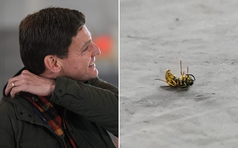 In this two-photograph panel, B.C. NDP Leader David Eby pauses to pick a wasp out of his shirt while speaking during a campaign stop, left, and the wasp is seen on the ground afterwards, right, in Chilliwack, B.C., on Thursday.