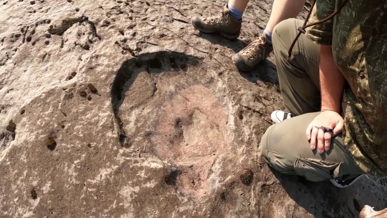 Photo of a dinosaur trackway in northeastern B.C.