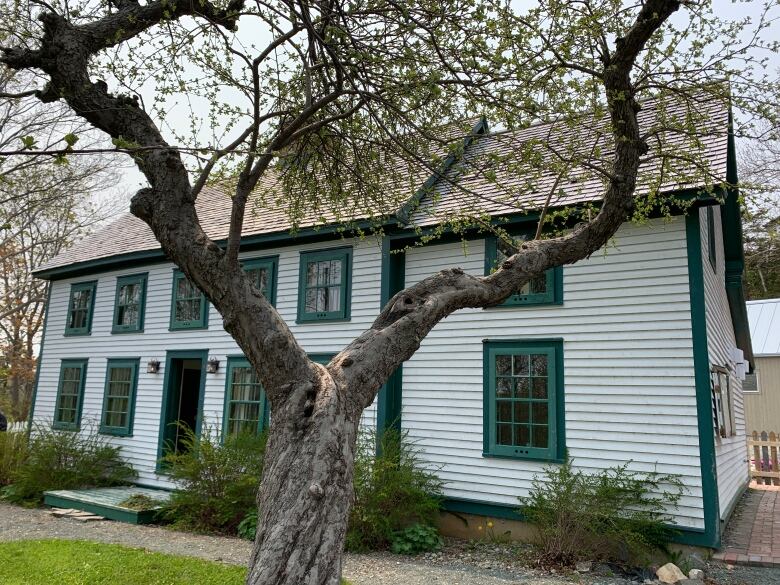 A white two-story home with green trim. There is a large tree in front of the house.