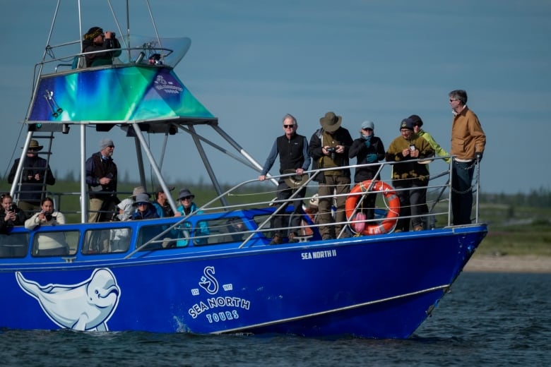 People stand at the bow of a boat, holding binoculars while looking for whales.