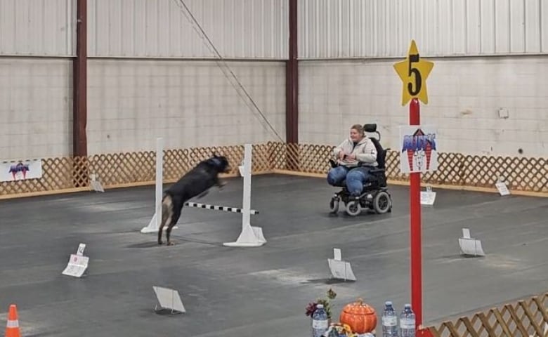 Marla instructs Kuno from her wheelchair as Chesnyy jumps towards over a bar in a dog show competition. 