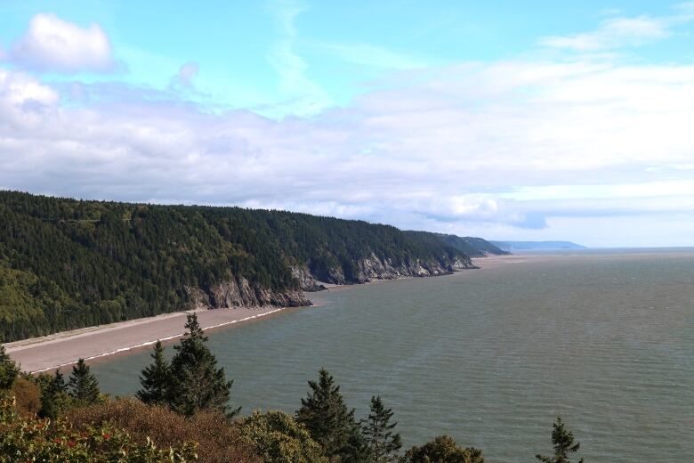 A wide bay of water against a shore lined by cliffs and trees.