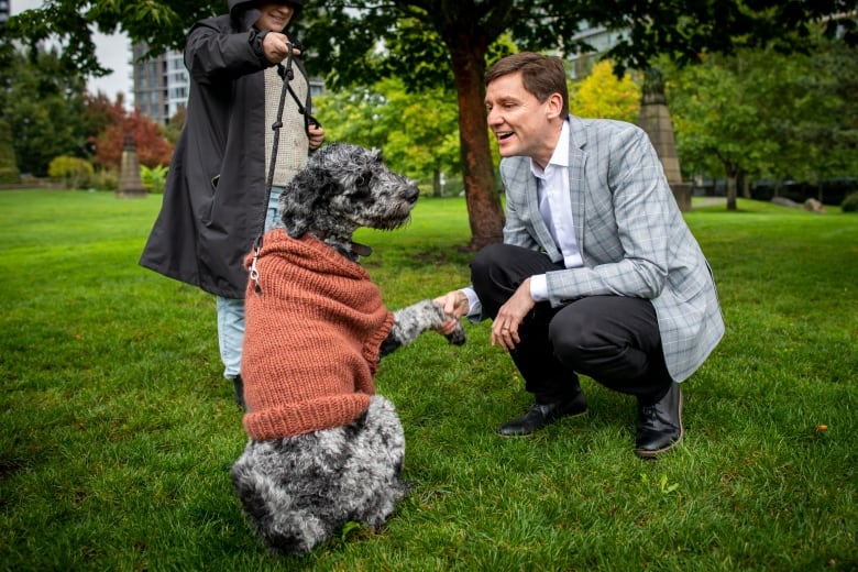 A man kneels down to shake hands/paws with a dog in a sweater.