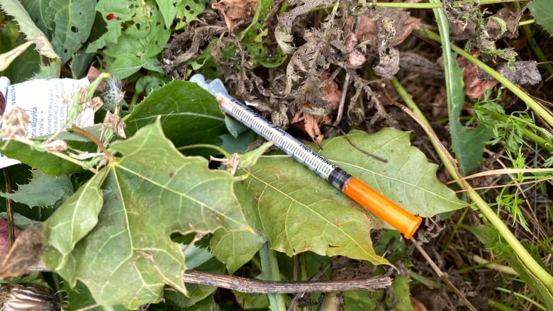 A clear plastic syringe with an orange cap on it, laying on top of green leaves and brown brush. An alcohol wrap wrapper is next to it.