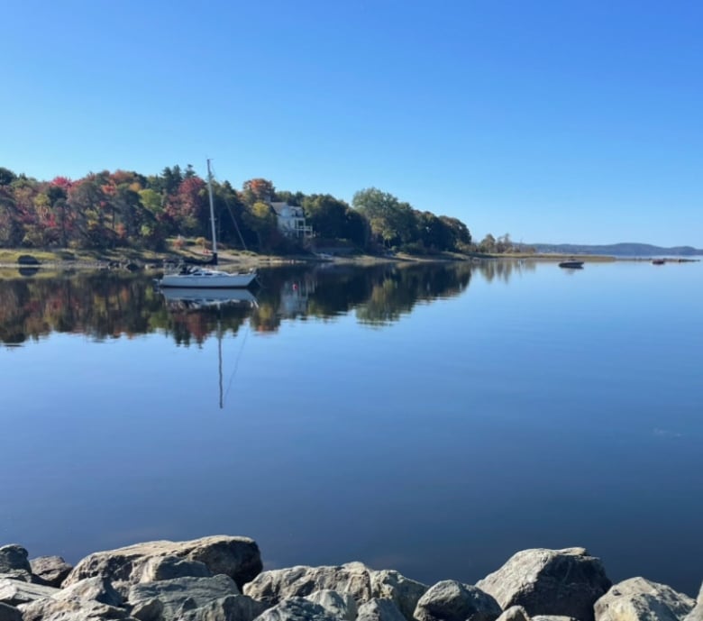 Trees with leaves in shades of red, green and yellow line a blue river where a boat is floating.