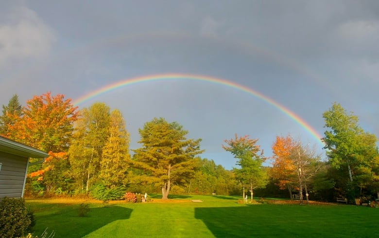 The sun shines over a green lawn and trees with leaves in the colours of red and yellow. A rainbow stretches across the sky.