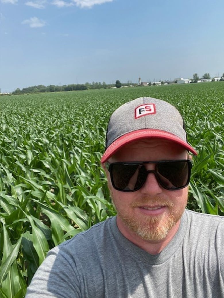 A man wearing a ball cap and sunglasses stands in a field of corn on a sunny day.