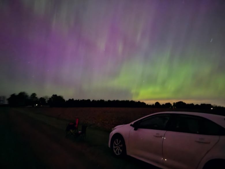 A photo of the aurora borealis near London, Ont.