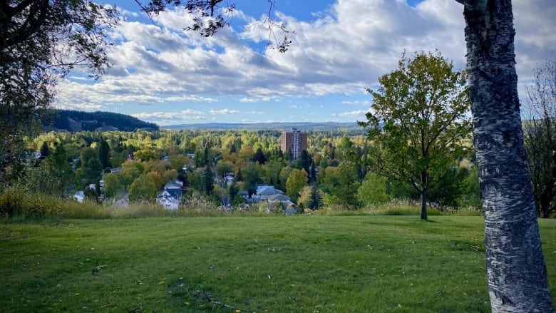 A view of a city through a forest.