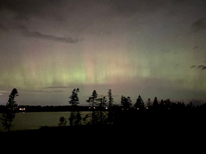 Shades of green, pink and purple are arrayed in a crown-like effect over trees and a river.