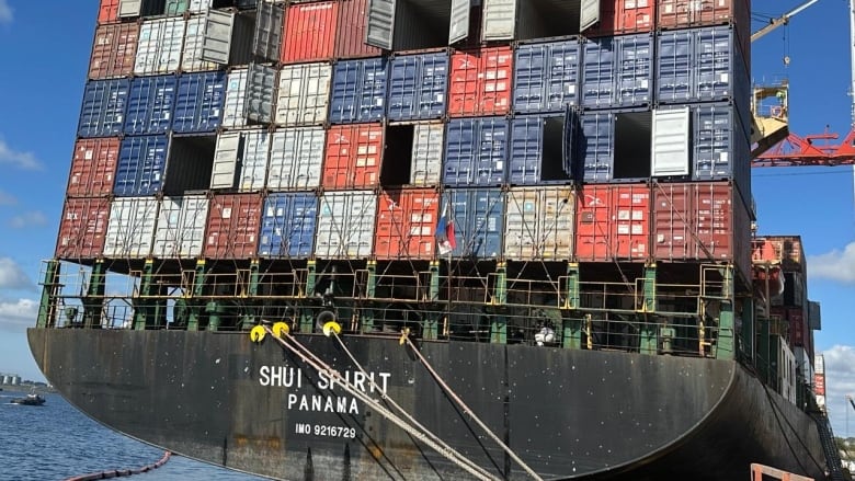 Panamanian-flagged container ship Shui Spirit was damaged in a Russian airstrike and at least 10 Ukrainians were killed.