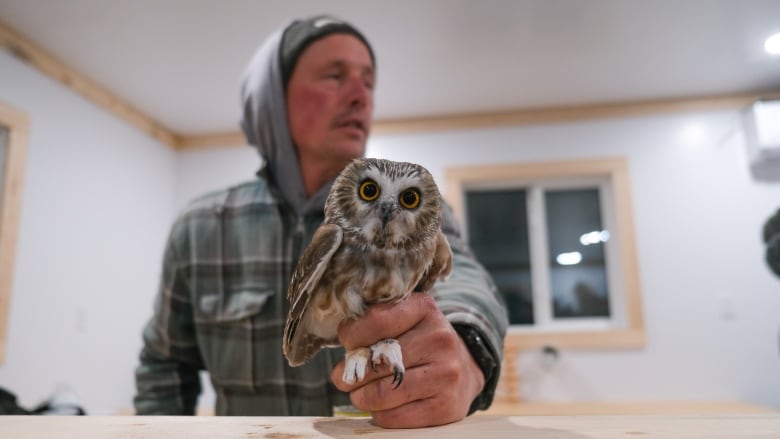 A man is holding a small owl