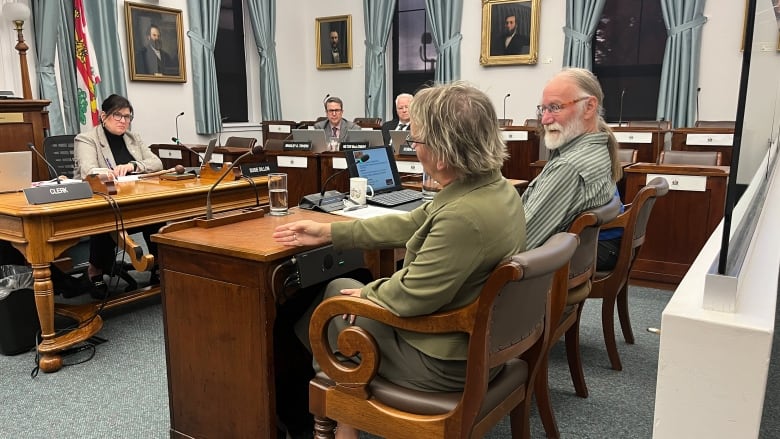 ECO P.E.I. members Ann Wheatley, left, Gary Schneider and Waterstone Law Group lawyer Jacinta Gallant appeared before a legislative standing committee on Wednesday, Oct. 16.