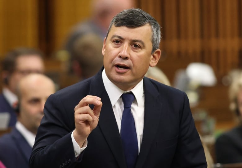 Conservative MP Michael Chong 