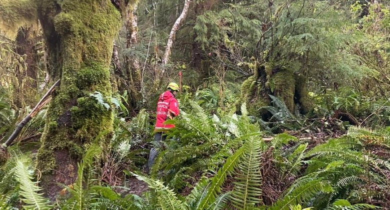 A person in a high-vis vest walks through dense foliage.