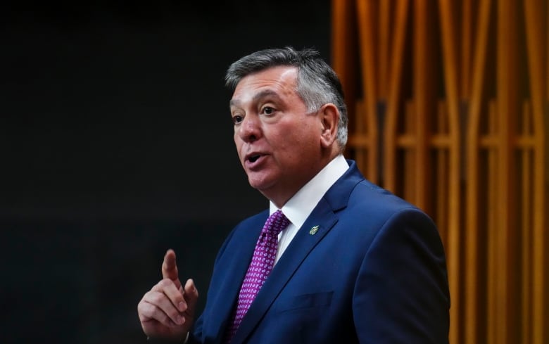 A man in a blue suit, purple tie and white shirt stands and speaks in the House of Commons.