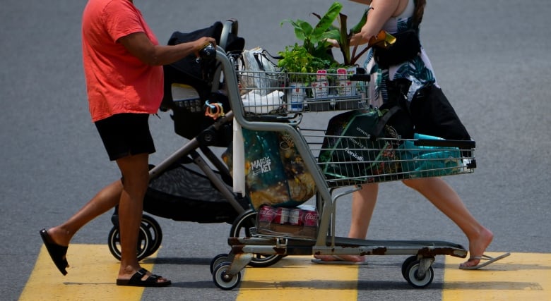 A person pushing a shopping cart passes in front of a person pushing a baby carriage in the opposite direction, in what appears to be a parking lot. The image only shows the people from the neck down, one in an orange shirt, the other in a dress. 