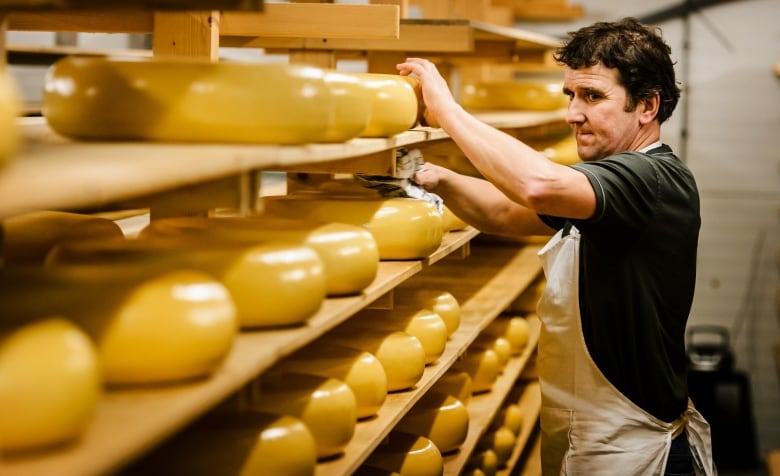 A man  adjust a  shelf of wheels of cheese