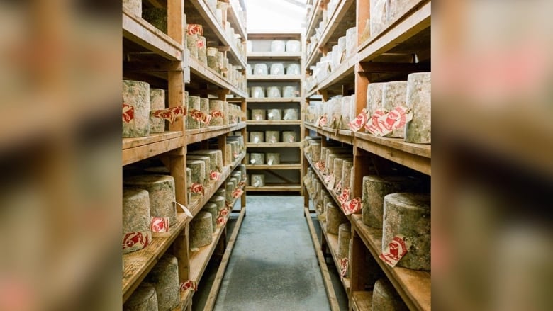 A warehouse full of wheels of cheese