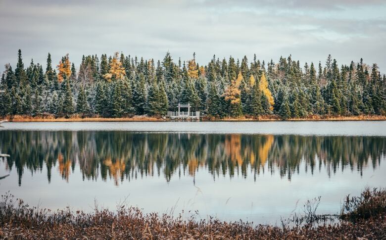 Snow dusts tress near a body of water. 