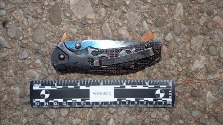 Sarnia police say this knife was used in a weekend stabbing in the southwestern Ontario border city.