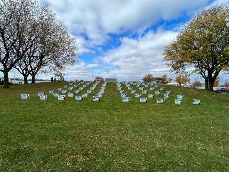 Roughly 80 signs marking fallen soldiers from Sarnia, Ont., are temporarily in a city park near the St. Clair River.