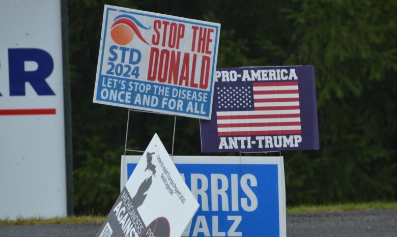 A cluster of election Democrat election signs