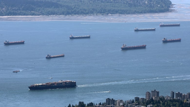 A container ship moves past seven anchored ships. This is taken from an aerial perspective. 