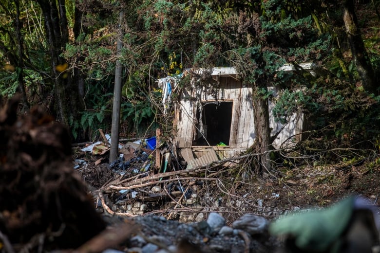 Debris and an upturned house are pictured in the woods.