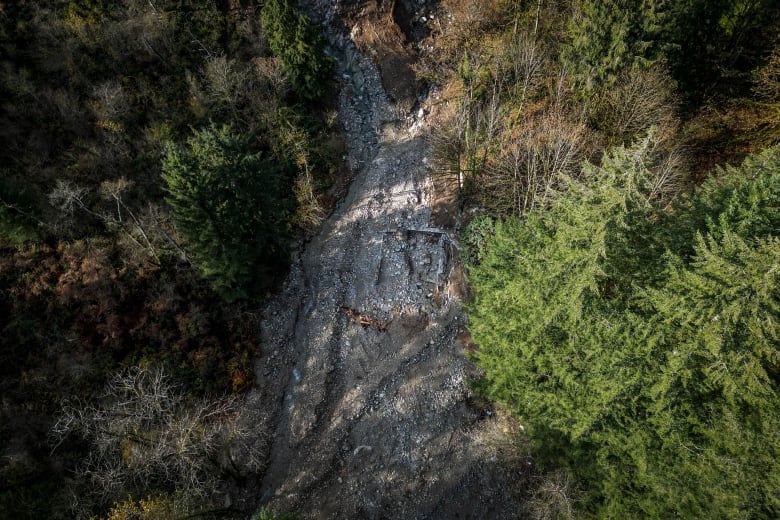 A sea of debris is seen over a house in the woods.