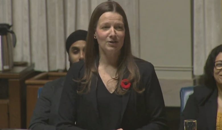 A woman in black with a red poppie speaks in a government room full of people