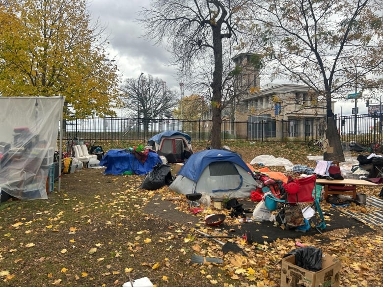 tents on a lawn