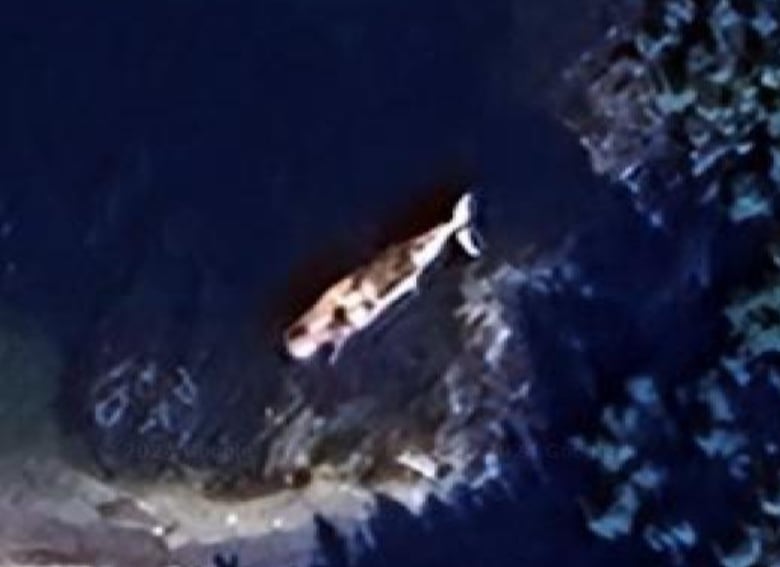 A grainy image of a whale lying on its side on a beach.