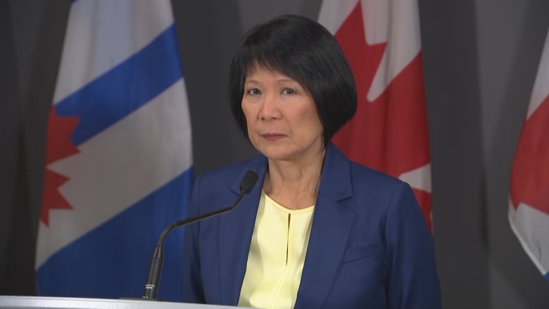 Toronto Mayor Olivia Chow speaks to reporters before a council meeting on Wednesday.