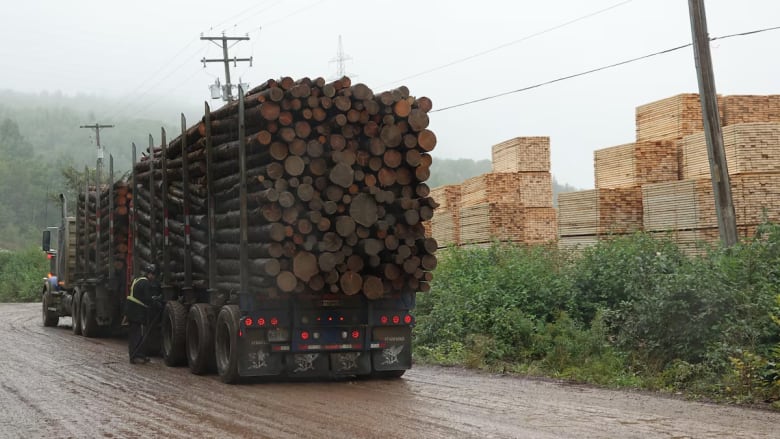 Truck transporting wood