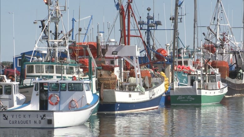 Fishing boats docked in a marina in Caraquet on a sunny spring day