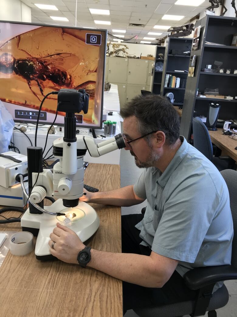 Man looking into a microscope.