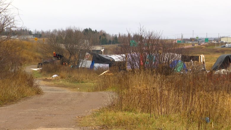 A group of tents in the bushes is shown