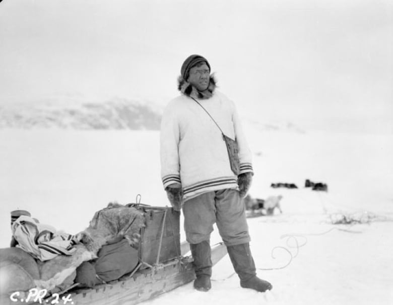 Unidentified Inuk man standing beside a loaded komatik with sled dogs in the background, Kangiqsujuaq, Nunavik