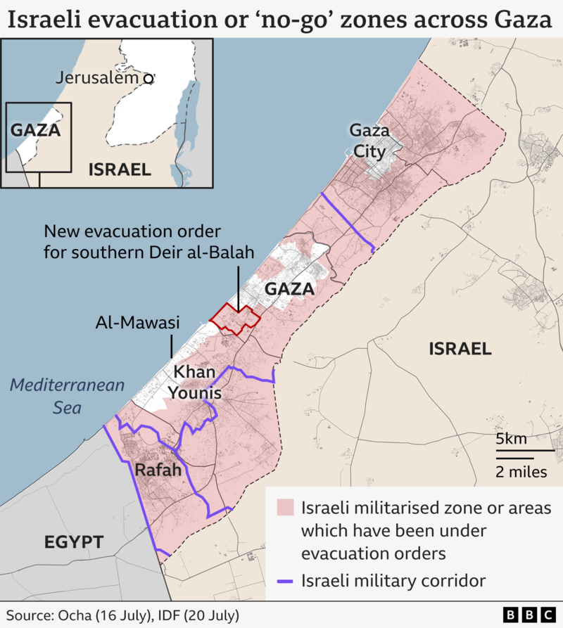 Abbas-Backed Candidates Dominate Palestinian Municipal Elections in Historic Gaza Vote