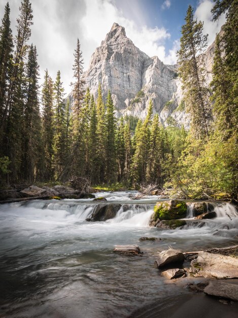 Alberta Charts Bold Vision for Ghost-Kananaskis Region in Generational Planning Push