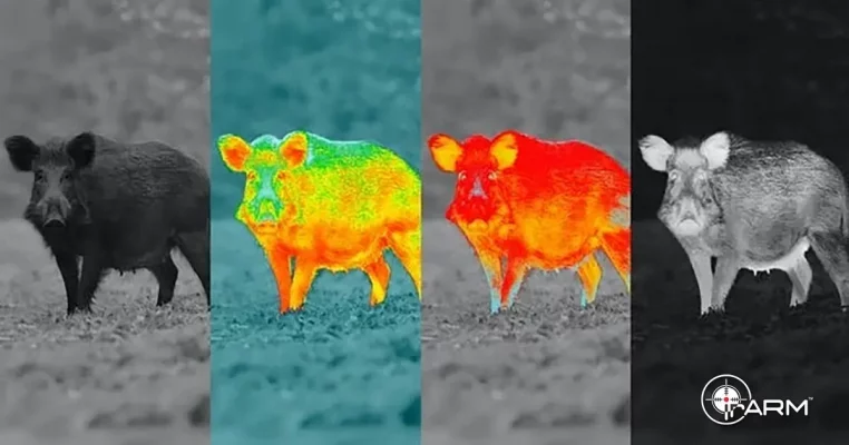 Alberta Deploys High-Tech AI Drones to Combat Invasive Wild Boar Threat