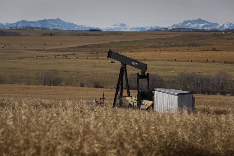 Alberta Farmer Fighting Aging Oil Wells Venting Toxic Gases on Her Property